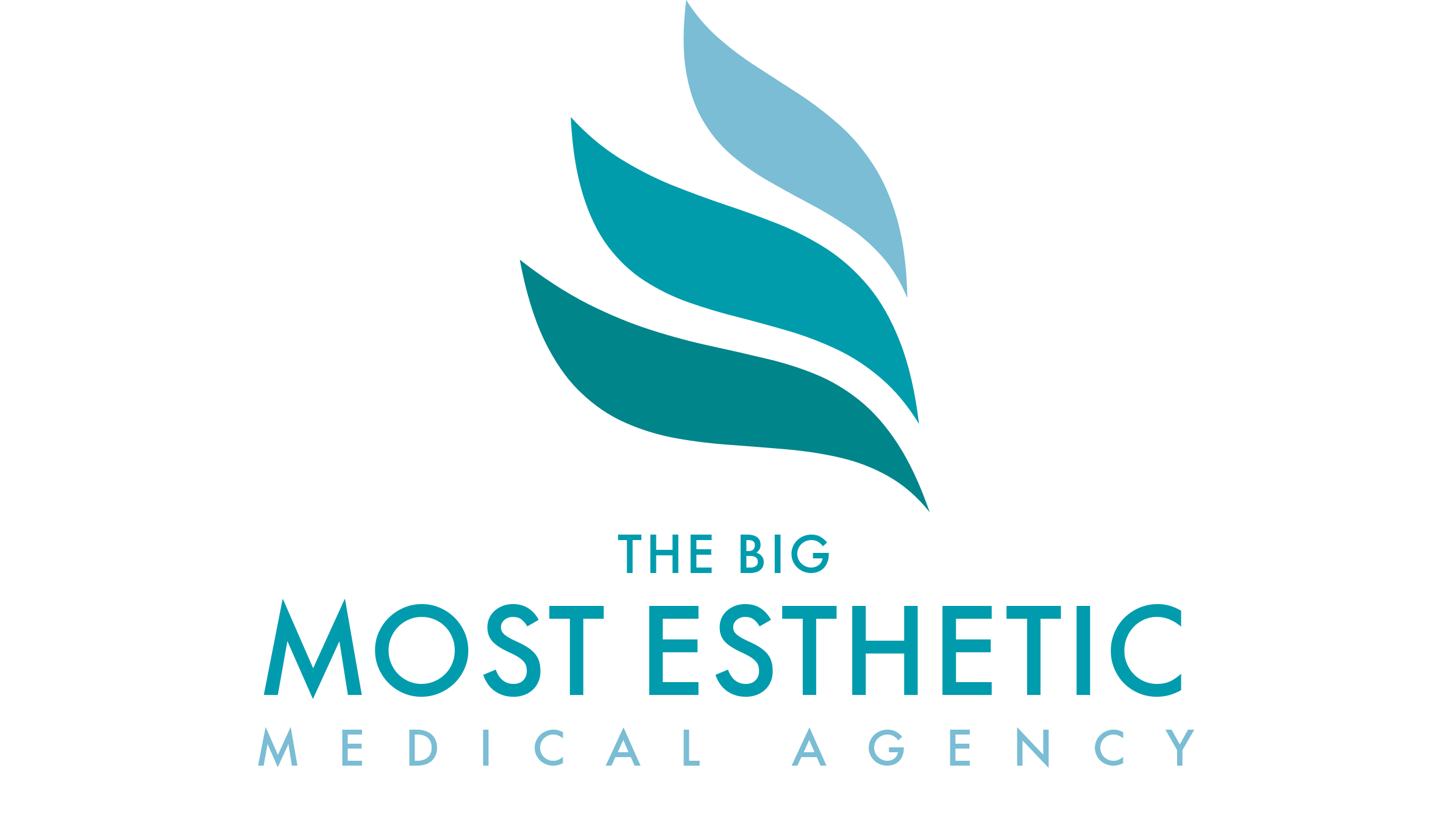 The Big Most Esthetic Medical Agency